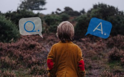 The Value of Q&A Venues