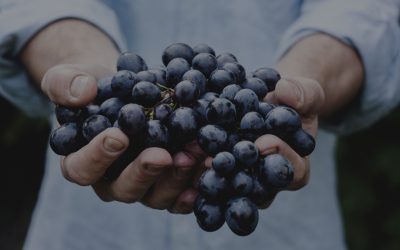 The Fruit, Not Fruits, of the Spirit