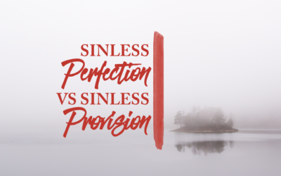 Sinless Perfection Versus Sinless Provision