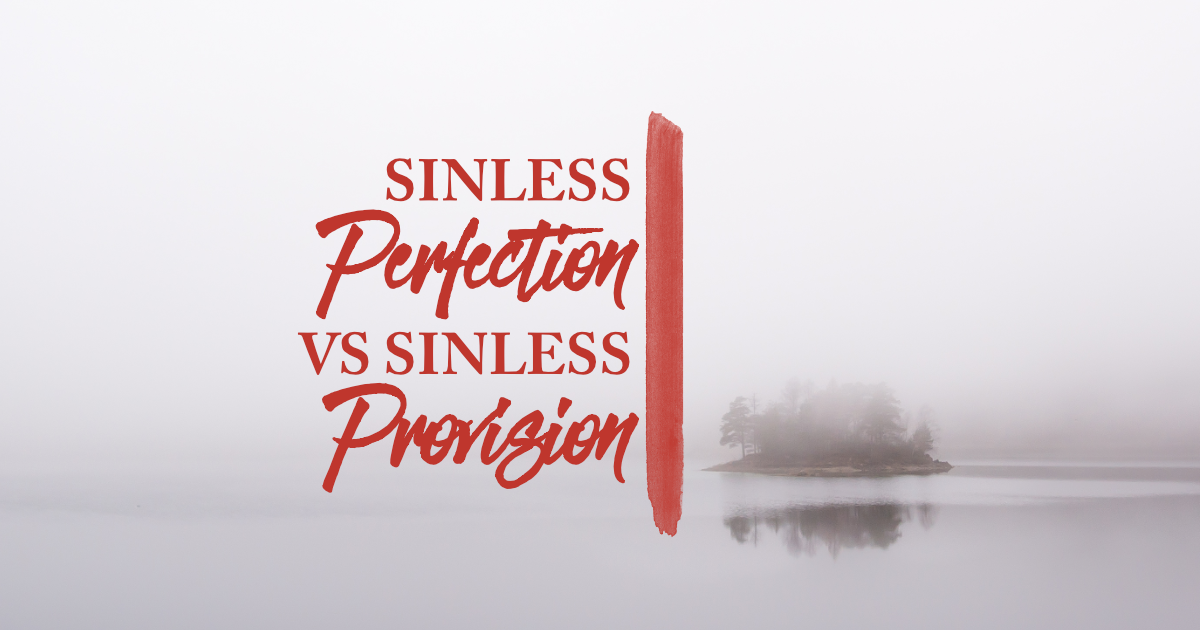 Sinless Perfection Versus Sinless Provision