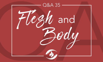 Q#35 Flesh and Body