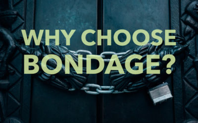 Why Choose Bondage?