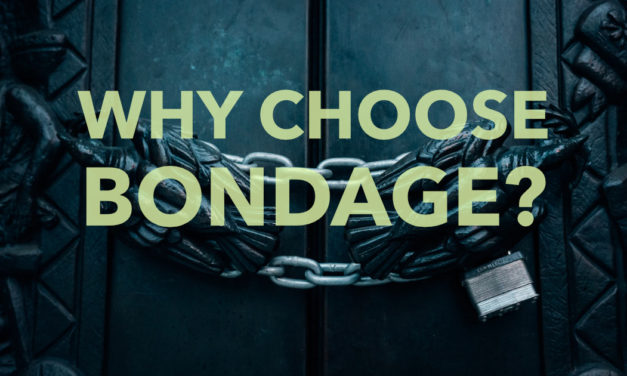 Why Choose Bondage?