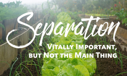 Separation: Vitally Important, but Not the Main Thing