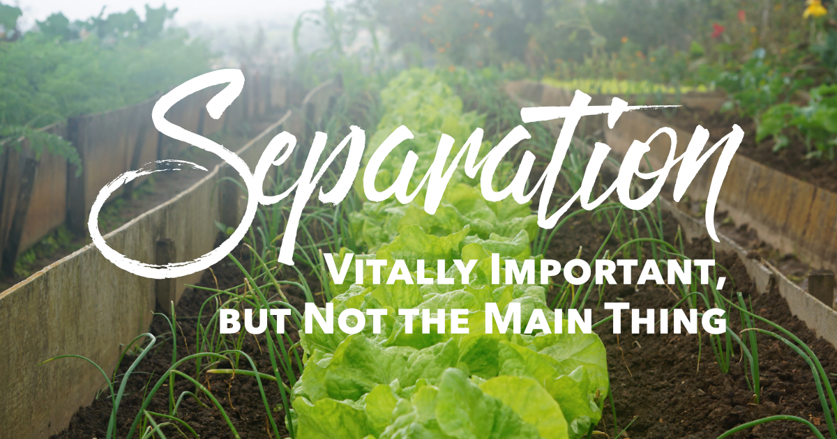 Separation: Vitally Important, but Not the Main Thing