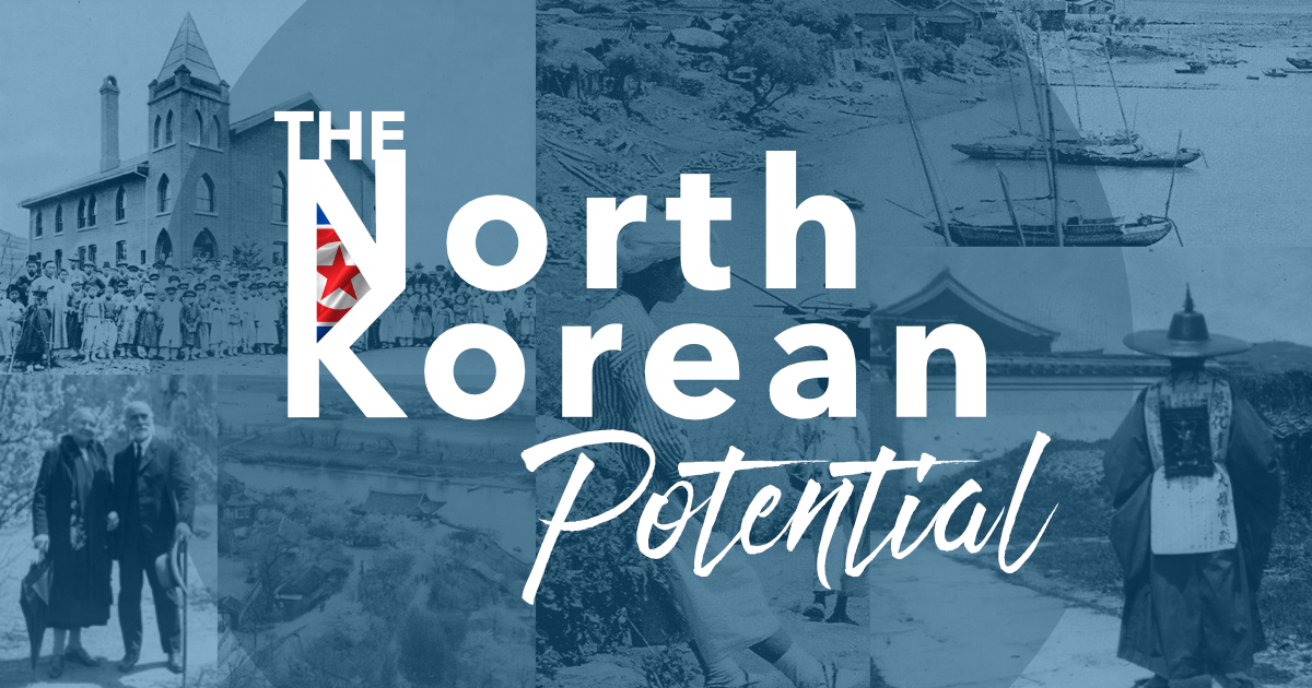 The North Korean Potential