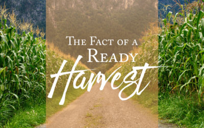 The Fact of a Ready Harvest
