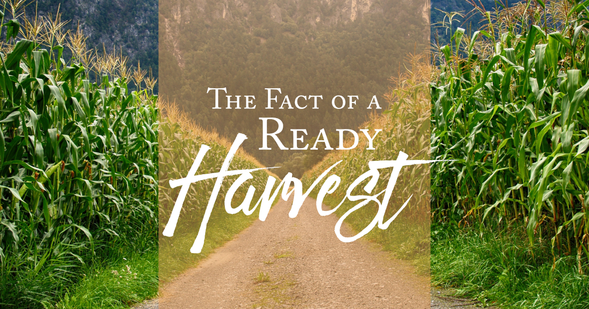 The Fact of a Ready Harvest