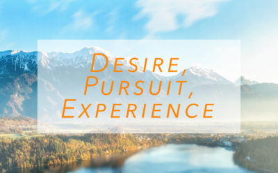 Desire, Pursuit, Experience