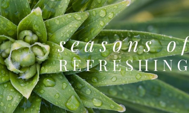 Seasons of Refreshing: Remembering the Early 1970s