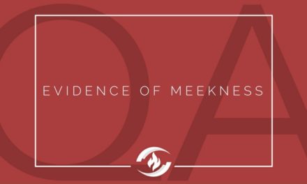 № 111 – Evidence of Meekness