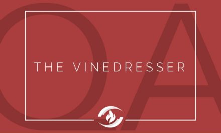 № 135 – The Vinedresser