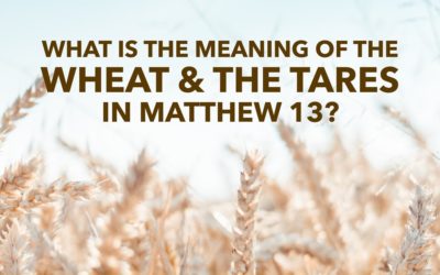 What Is the Meaning of the Wheat and the Tares in Matthew 13?