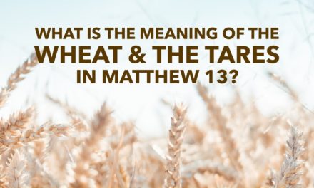 What Is the Meaning of the Wheat and the Tares in Matthew 13?