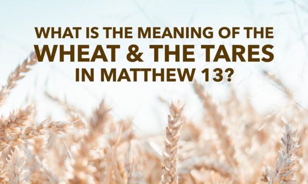What Is the Meaning of the Wheat and the Tares in Matthew 13?