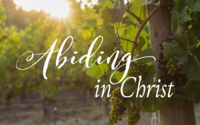 Abiding in Christ