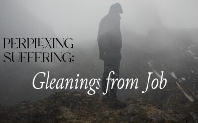 Perplexing Suffering: Gleanings from Job