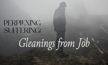 Perplexing Suffering: Gleanings from Job