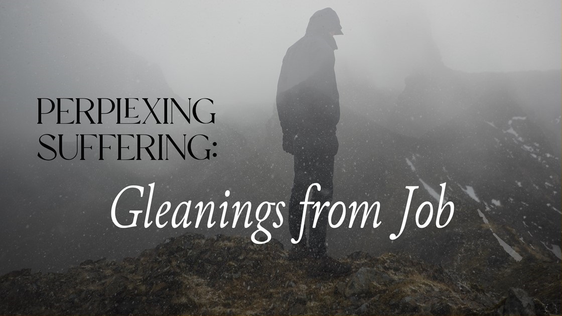 Perplexing Suffering: Gleanings from Job