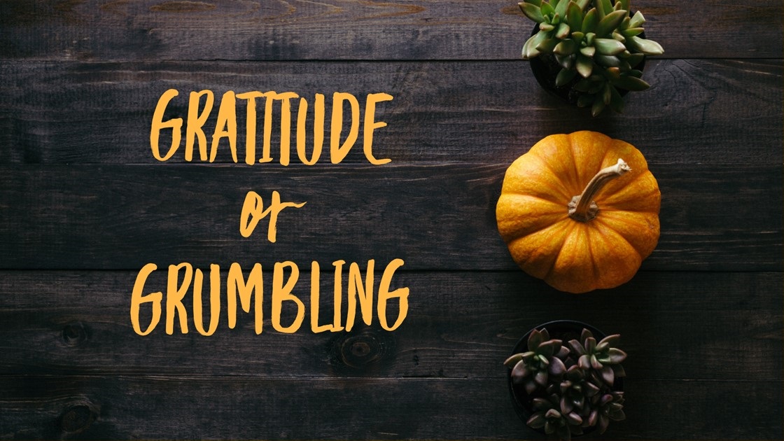 Gratitude or Grumbling