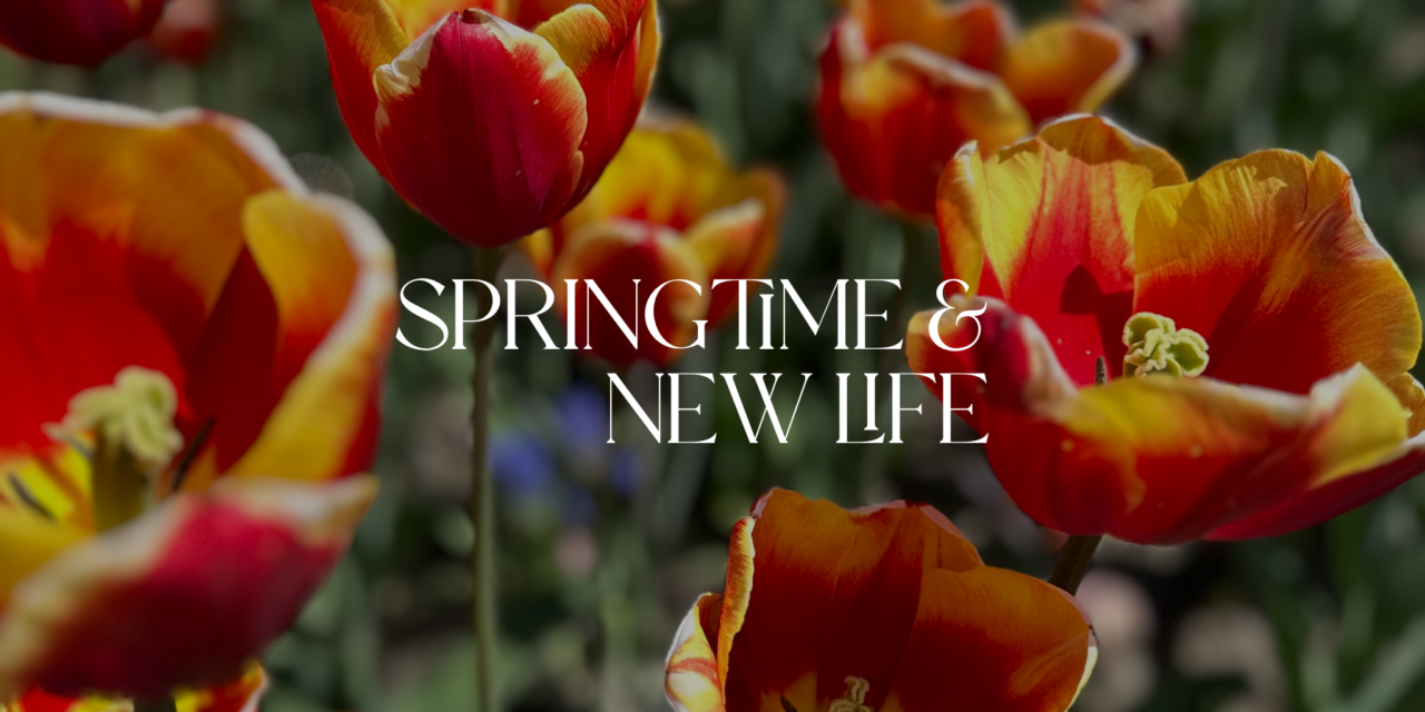 Springtime and New Life