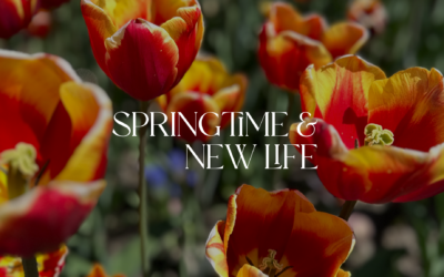 Springtime and New Life