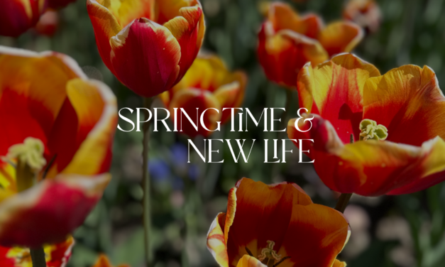 Springtime and New Life