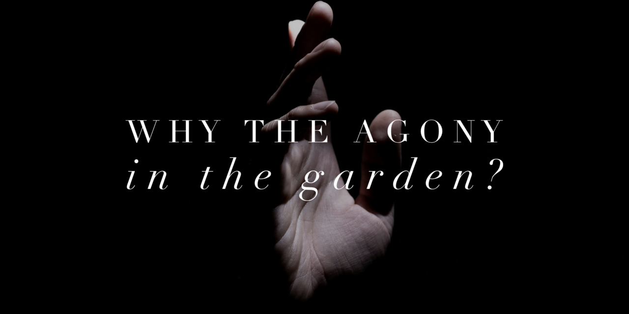 Why the Agony in the Garden?