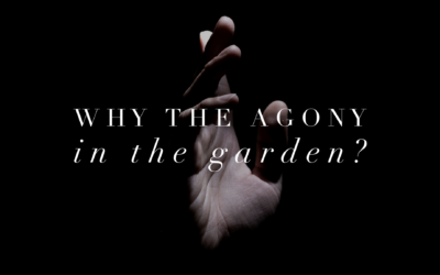 Why the Agony in the Garden?