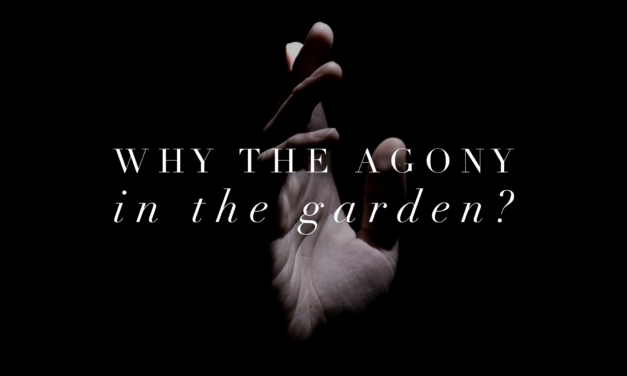 Why the Agony in the Garden?