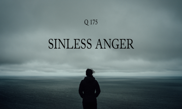 № 175 Sinless Anger