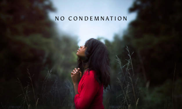№ 178 NO CONDEMNATION