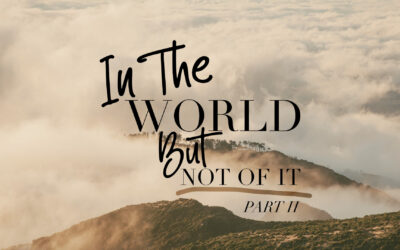 In the World, But Not Of It: Part Two