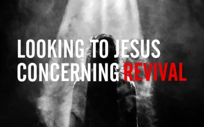 Looking to Jesus concerning Revival