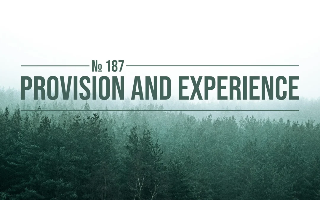 № 187 Provision and Experience