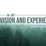 № 187 Provision and Experience