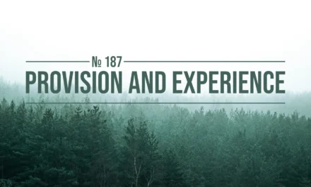 № 187 Provision and Experience