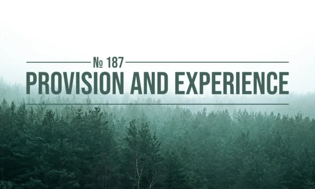 № 187 Provision and Experience
