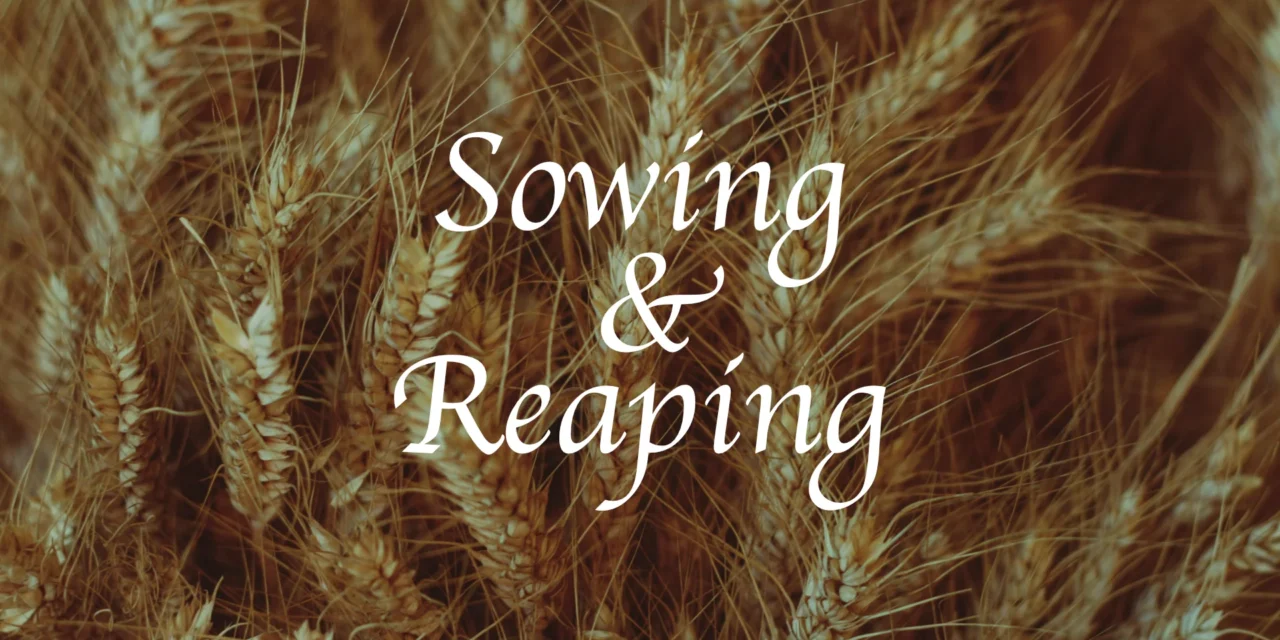 № 188 SOWING AND REAPING