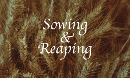 № 188 SOWING AND REAPING