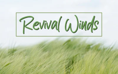 Revival Winds at Awake ’25