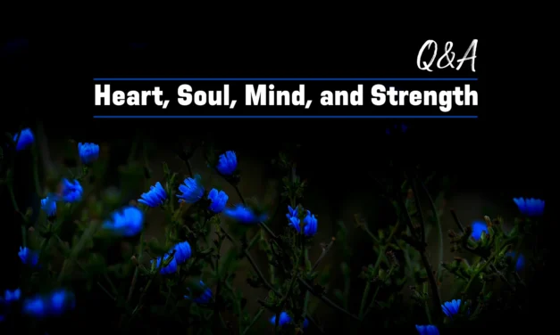 № 189 Heart, Soul, Mind, and Strength