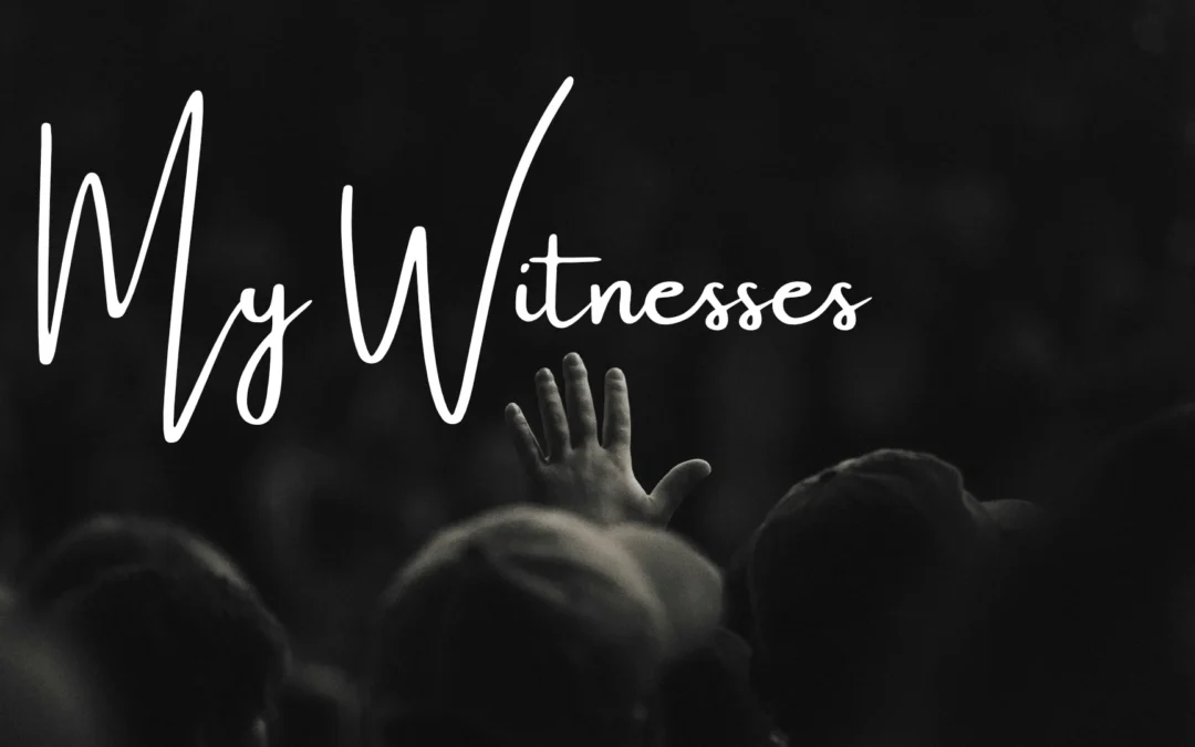 My Witnesses