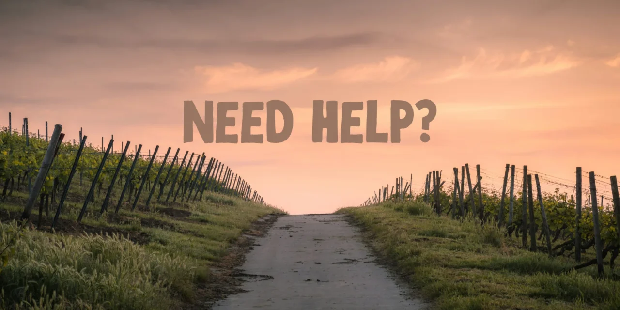 Need Help?