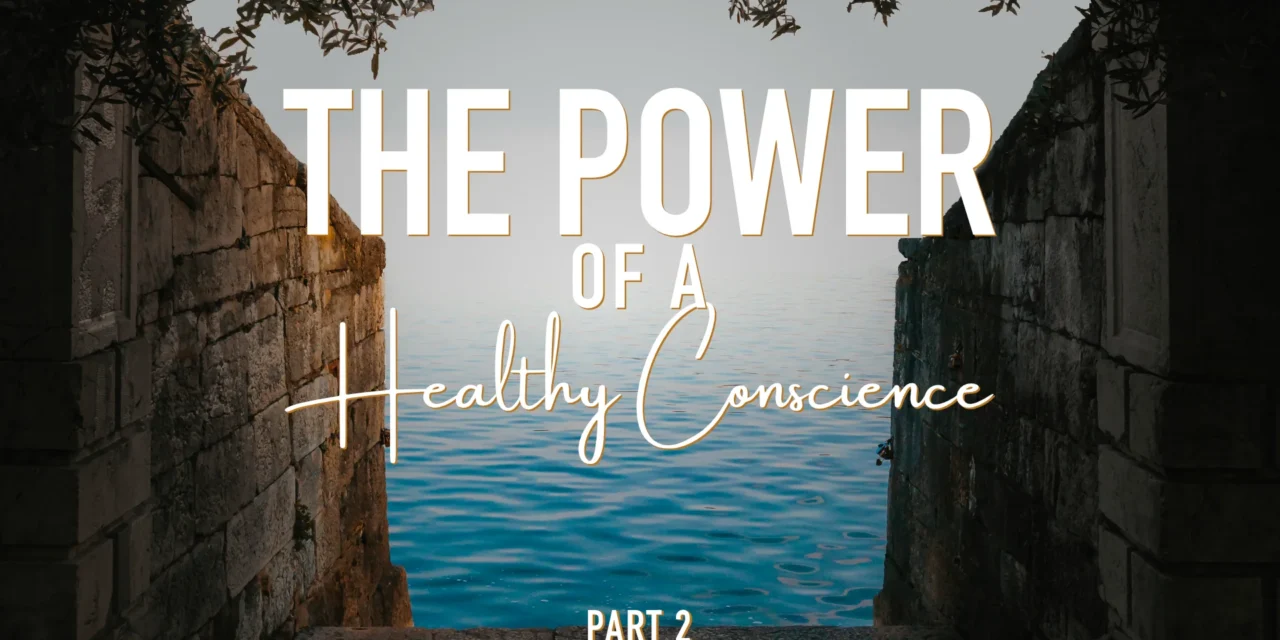 The Power of a Healthy Conscience – Part Two: The Conscience Bears Witness