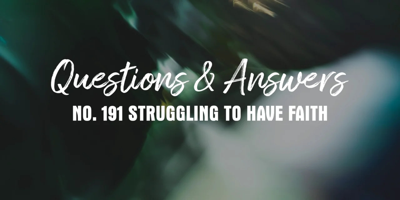 № 191 Struggling to Have Faith